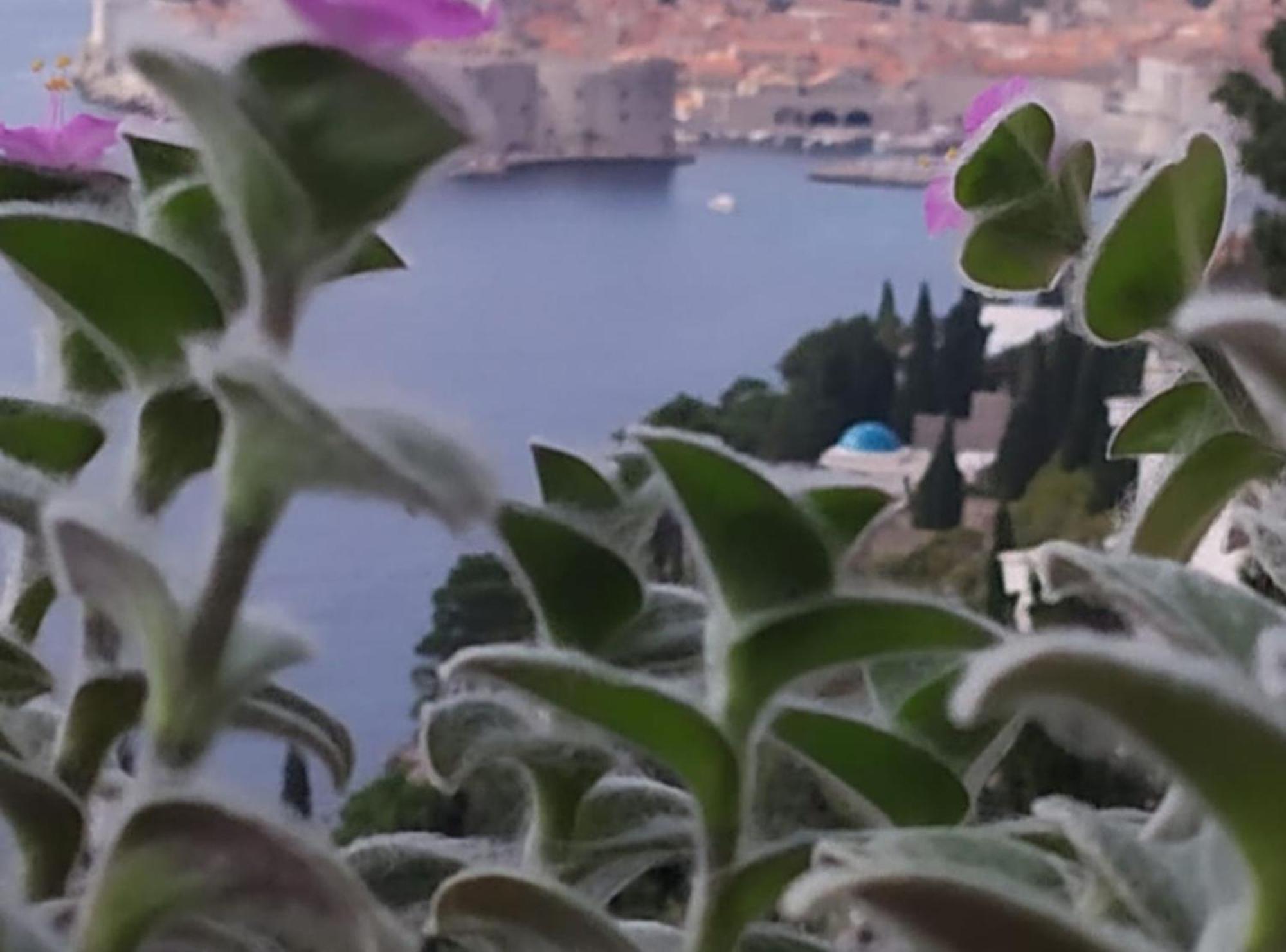 Charming With Terrace And Old Town View Dubrovnik