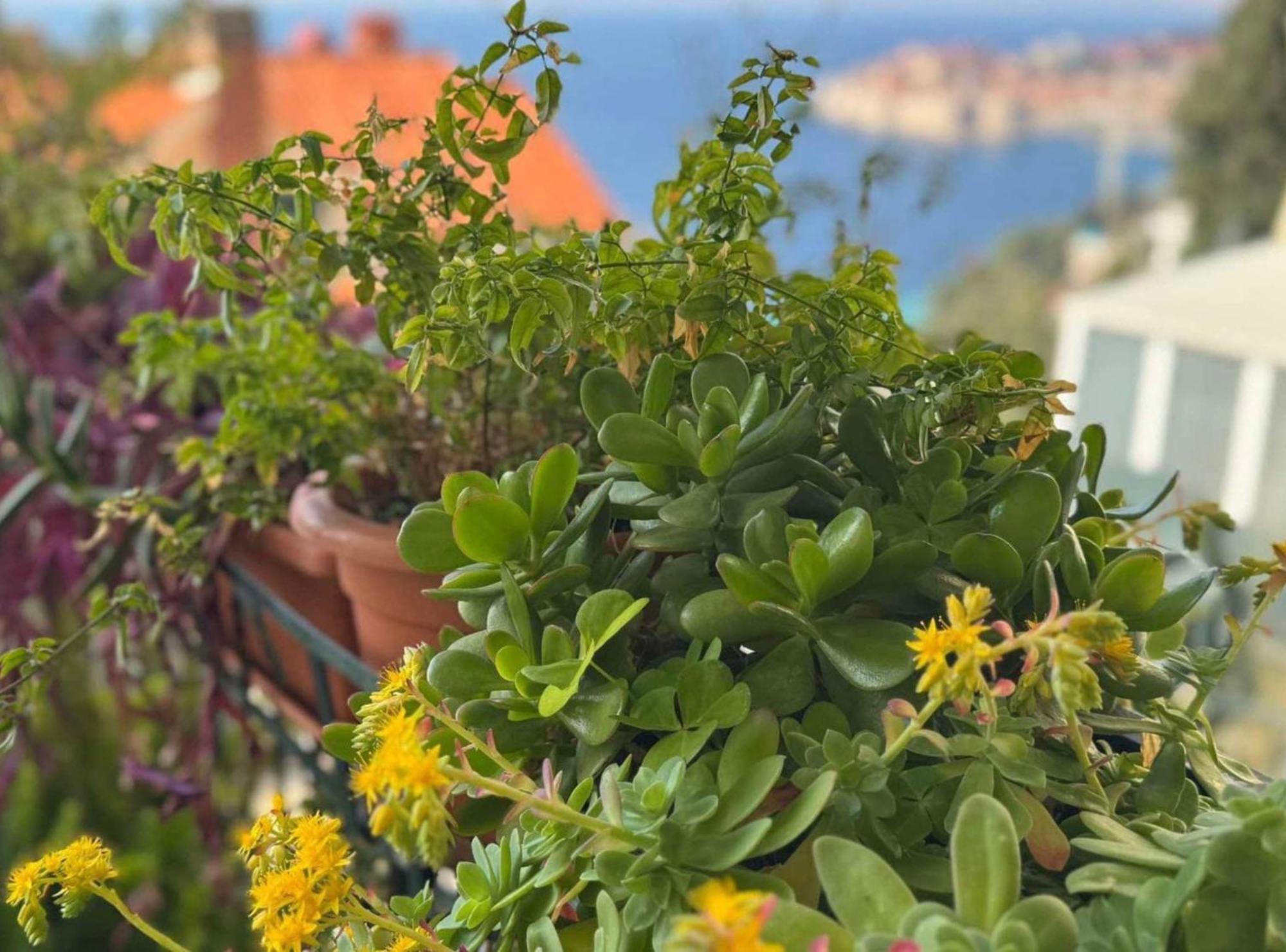 Charming With Terrace And Old Town View